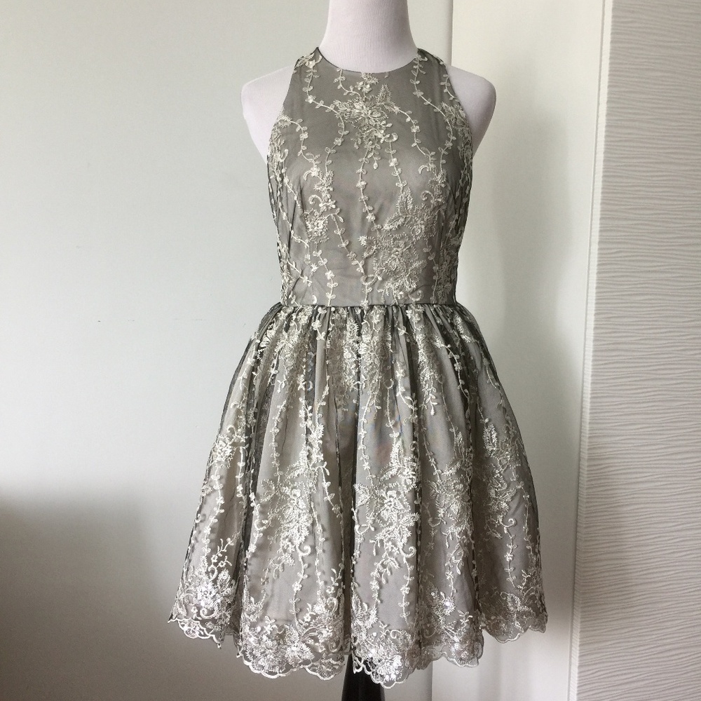 Bebe Floral Embroidered Lace Dress in Silver
